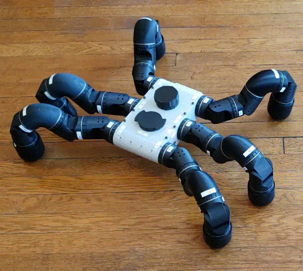 CMU Robotics Institute: Biorobotics Lab